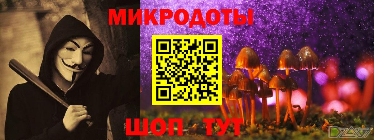 Галлюциногенные грибы мухоморы Заводоуковск