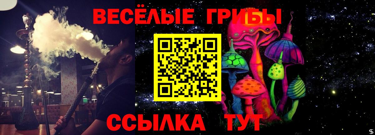Заводоуковск  Галлюциногенные грибы Psilocybine cubensis  Вход с VPN  Псилоцибиновые грибы Psilocybe 